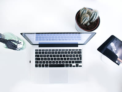 MacBook Pro beside potted cactus thumbnail