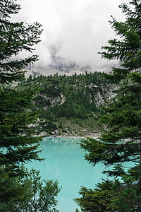 bodies of water surrounded by pine trees thumbnail