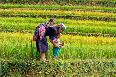 woman in black shirt carrying baby on her back while holding sickle thumbnail