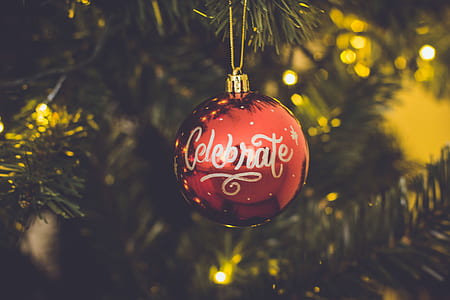 Red Celebrate Print Baubles Hang on Green Christmas Tree thumbnail