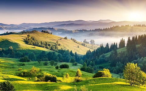 green hill with trees thumbnail