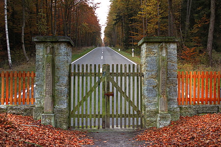 close-up photo of gate facing road thumbnail