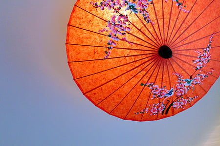 orange and pink floral umbrella thumbnail