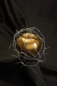 gold-colored apple decor wrapped with barbwire on top of black surface thumbnail