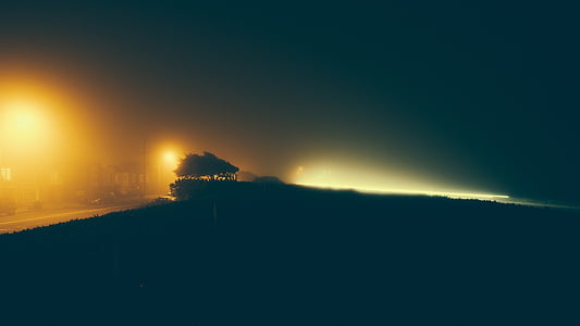 silhouette of trees thumbnail