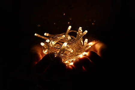 Person Holds White String Lights thumbnail