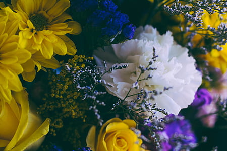 close-up photography of white carnation and yellow chrysanthemums thumbnail