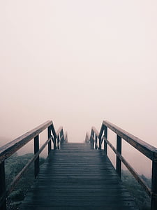 brown wooden dock under white sky thumbnail