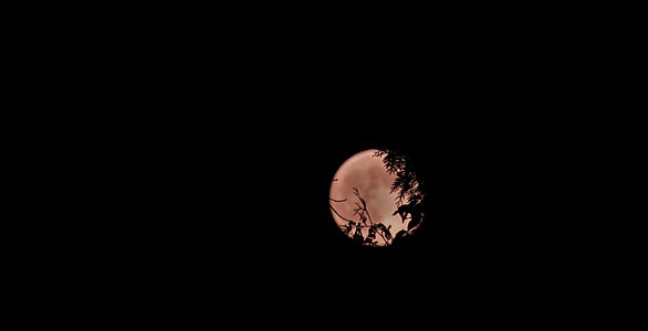 photo of full moon thumbnail