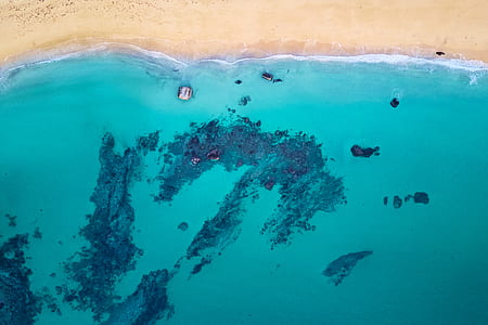 aerial view of beach thumbnail