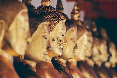 selective focus photograph of gold Gautama Buddha statue thumbnail