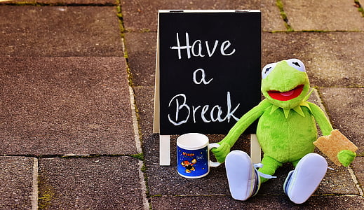 Kermit the Frog plush toy thumbnail