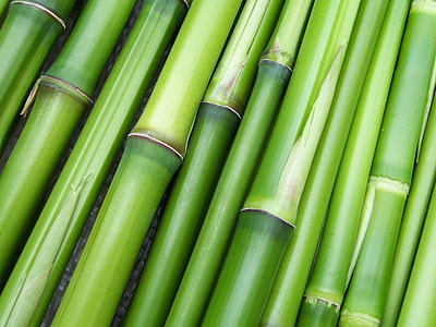 bamboo sticks thumbnail