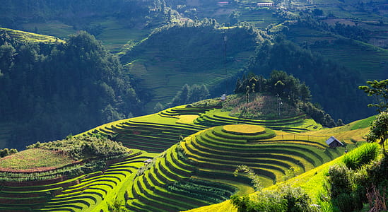 aerial photography of green field mountain thumbnail
