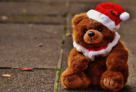 brown bear plush toy with Santa Clause beanie thumbnail