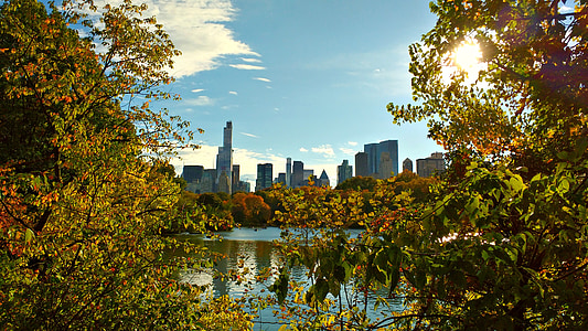green leafed trees near body of water thumbnail