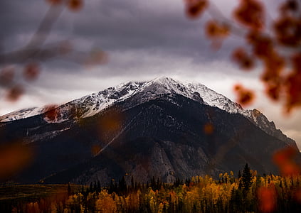 black and white mountain near brown trees lot illustration thumbnail