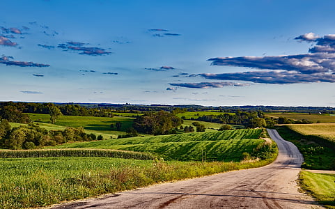 green field near road at daytime thumbnail