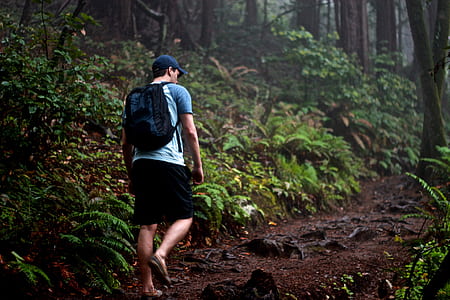 man walking on mountain trail thumbnail