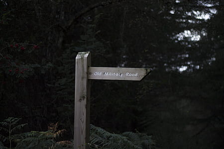 Old Military Road signage near trees thumbnail