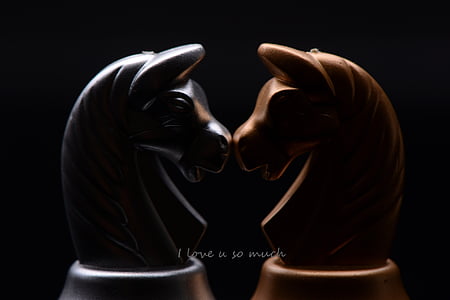 close-up photography of black and brown horse figurines thumbnail
