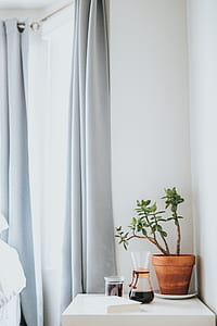 brown plant pot with green plant inside on top of white wooden table thumbnail