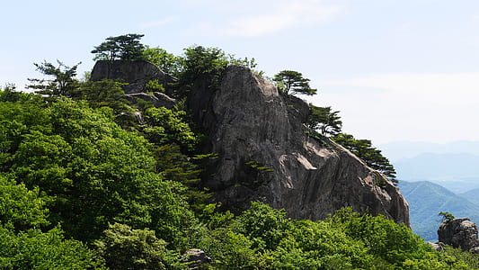 brown rock formation surrounded of trees thumbnail