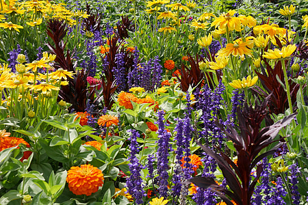 variety of flowers field at daytime thumbnail