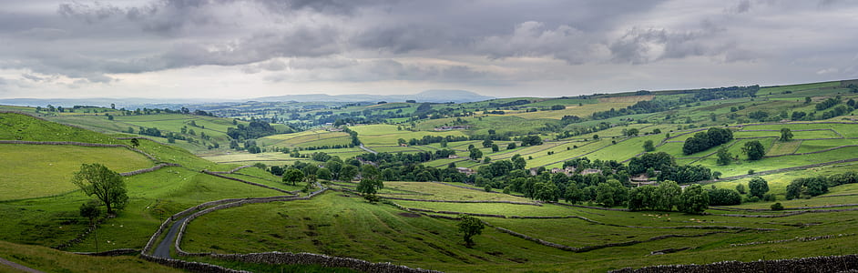 green grass field thumbnail