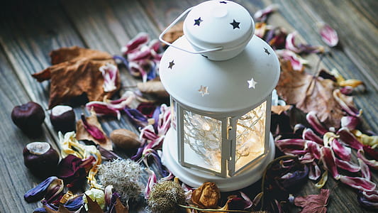 lighted candle lantern surrounded by withered flower petals thumbnail