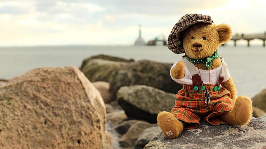 brown bear plush toy on brown rock thumbnail