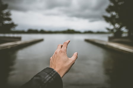 left person' hand over body of water near trees thumbnail