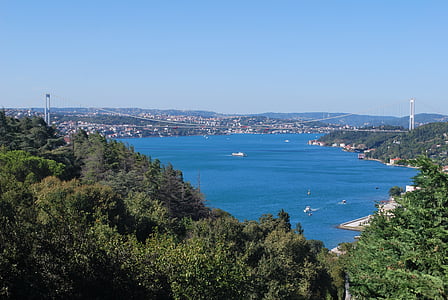 body of water near trees during daytim,e thumbnail