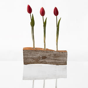 three red flowers thumbnail