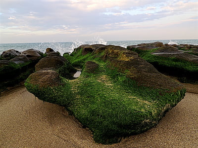 photo of rock covered with moss on sand thumbnail