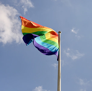 shallow focus photography of LGBT flag on white steel pole thumbnail