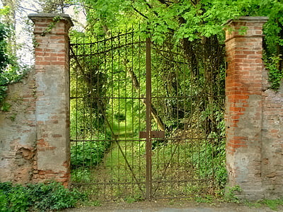 brown metal gate closed leading to forest thumbnail
