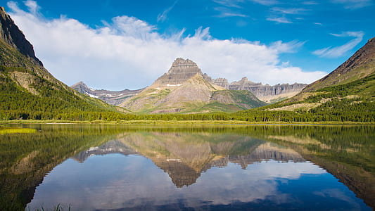 scenery of trees and mountain thumbnail