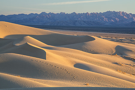 brown desert thumbnail