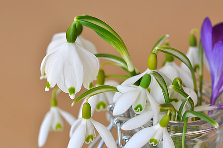 white flowers in glass vase thumbnail
