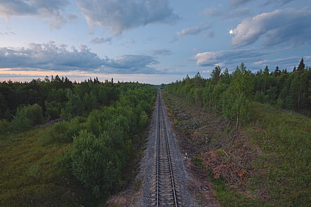 railroad tracks beside green trees thumbnail