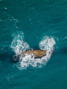 brown wooden log on body of water thumbnail