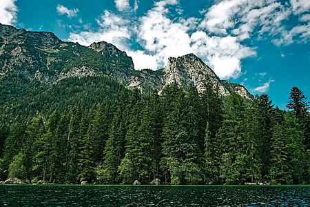 Trees and Forest with Rocks and Mountains with Clouds and Sky in Washington thumbnail
