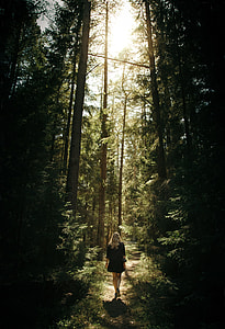 woman walking in jungle during daytime thumbnail