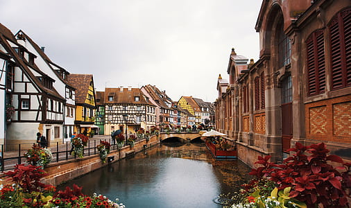 body of water with houses on side thumbnail
