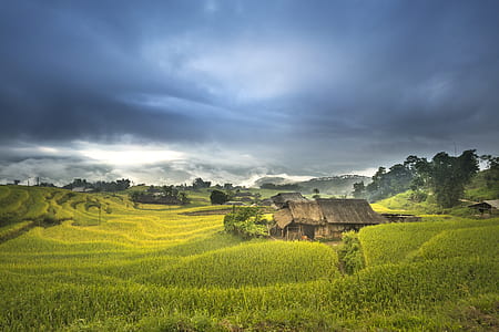 wooden house on grass field under gray sky thumbnail