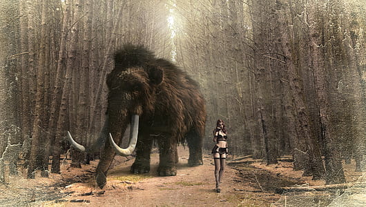 brown and black mammoth game screenshot thumbnail