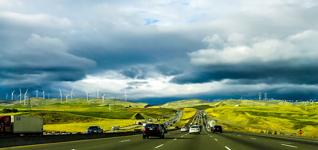 assorted car on road during daytime thumbnail