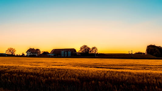 light, dawn, landscape, nature thumbnail
