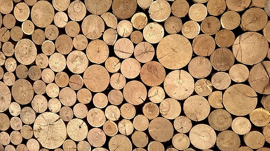 round brown logs thumbnail